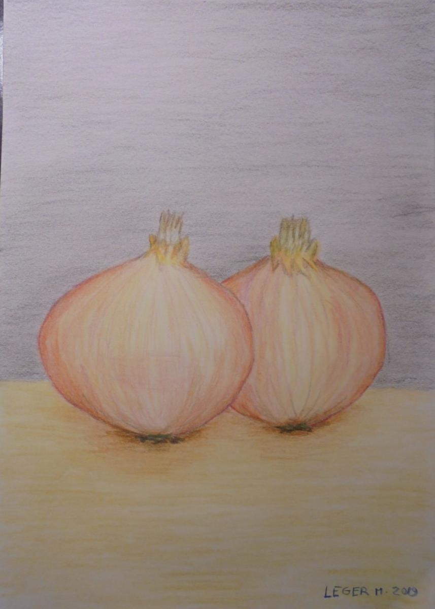 Onions Drawing · Creative Fabrica