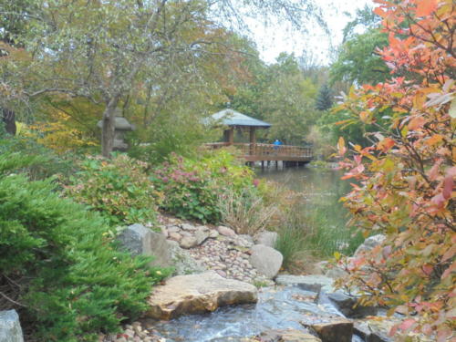 Japanese garden in Wrocław