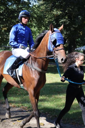 Wrocław Racecourse Partynice