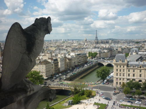 Vue depuis Notre-Dame de Paris
